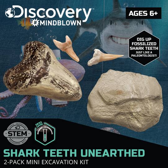 Discovery Mindblown Shark Teeth Excavation Kit Michaels Discovery Mindblown Shark Teeth Excavation Kit Michaels